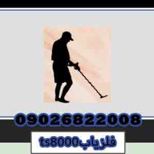 Metal detector ts8000