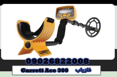 Representation of Garrett Ace 300 metal detector