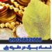 نـــمـــاد-بـــــرگ-در-دفـــینه-یابی